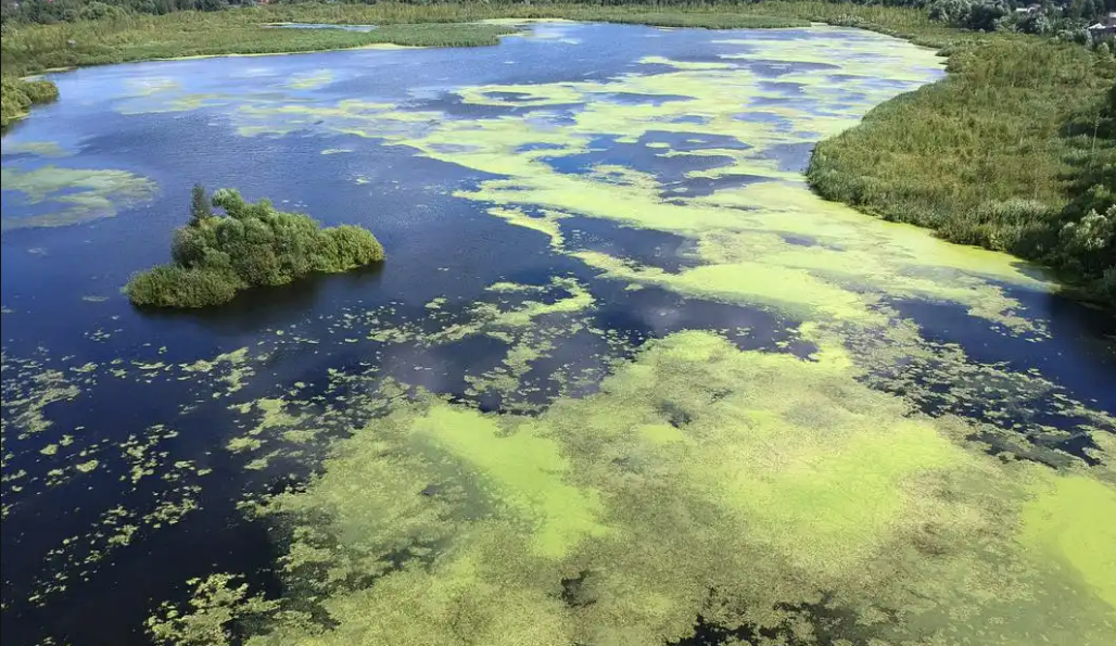 1744610729144042.png 640 (2).png