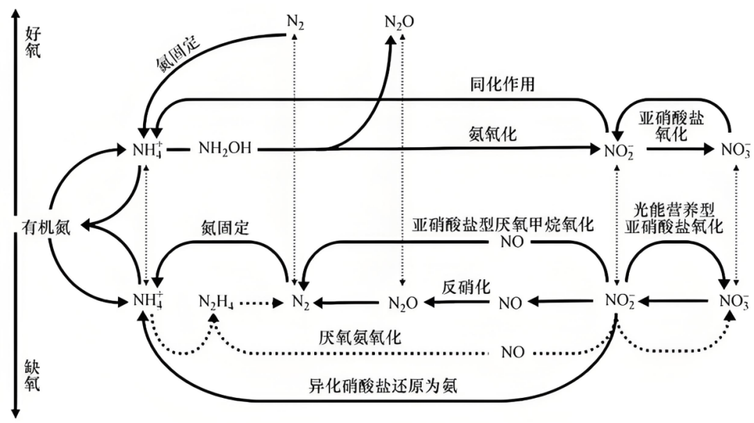 1745552870195526.png 640 (2).png