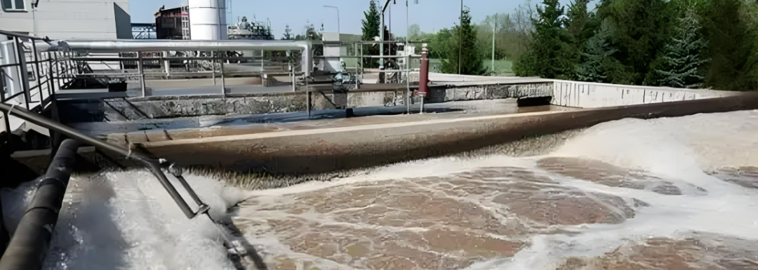 1747302248614471.png 640 (5).png