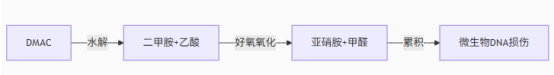 1750310212234649.png 640 (1).png