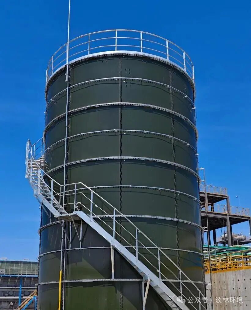 1770361867659790.jpg 640 (1).jpg