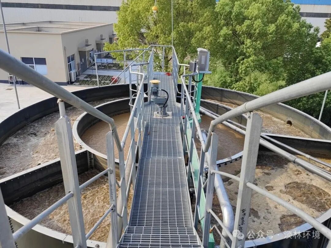 1772069624901031.jpg 640 (1).jpg