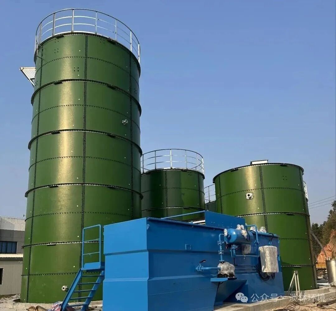 1772069654720184.jpg 640 (4).jpg