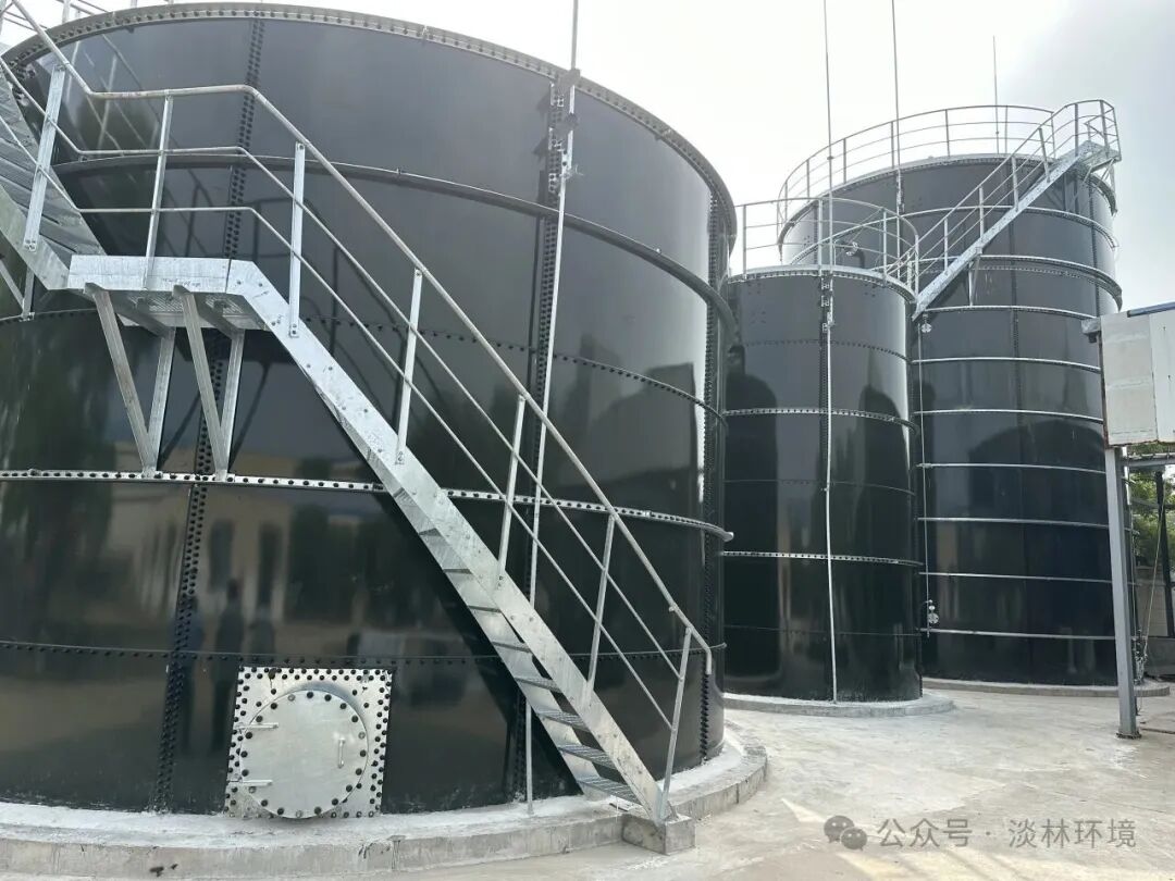 1773020214464508.jpg 640 (3).jpg