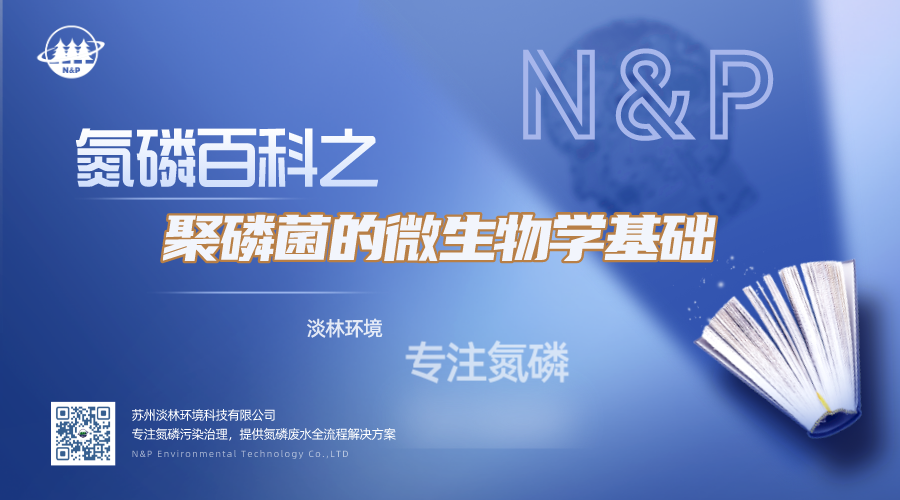 聚磷菌的微生物学基础