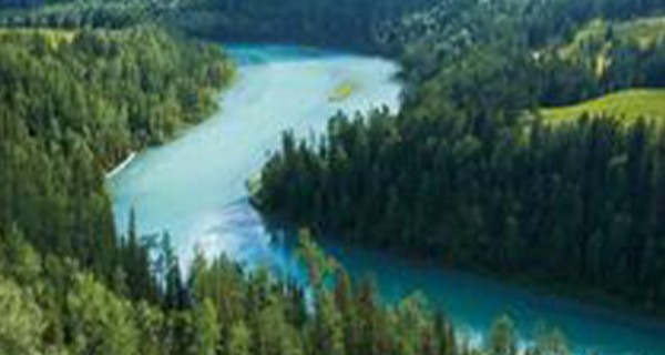 前沿的除磷工艺