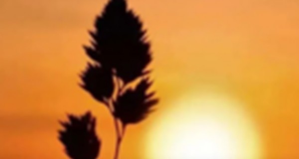 影响厌氧处理的主要因素