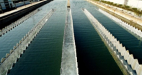 水解酸化的影响因素