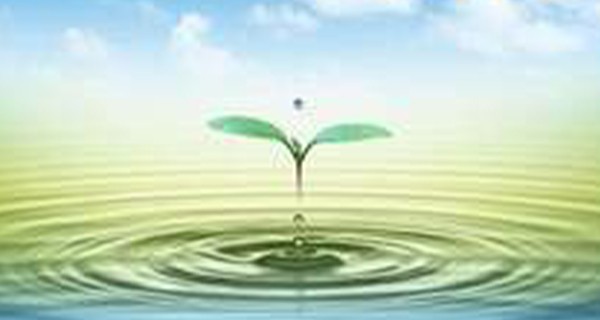 水处理中为什么要用到好氧污泥