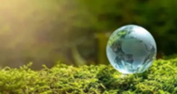 污水处理中不同除磷方法