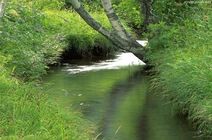 季节交替污泥膨胀原因分析