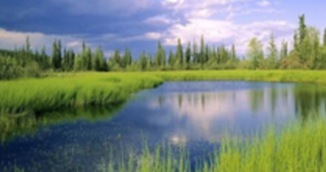 硝化系统出问题的对策