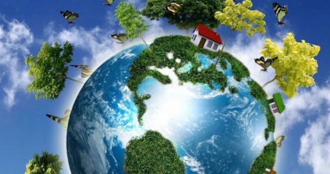 厌氧氨氧化脱氮影响因素