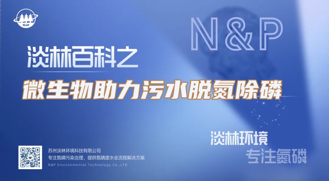 淡林百科｜微生物助力污水脱氮除磷