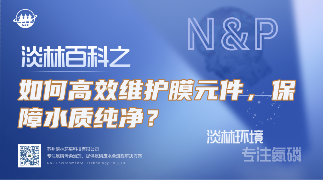 淡林百科｜如何高效维护膜元件，保障水质纯净？