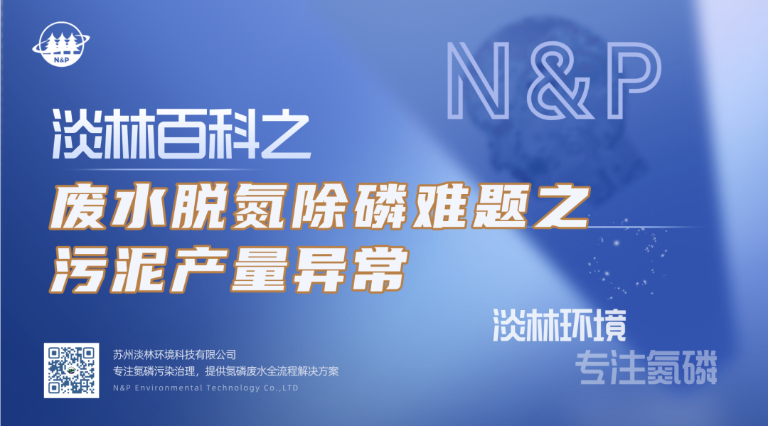 淡林百科｜废水脱氮除磷难题之污泥产量异常