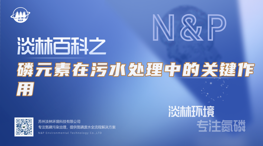 淡林百科｜磷元素在污水处理中的关键作用