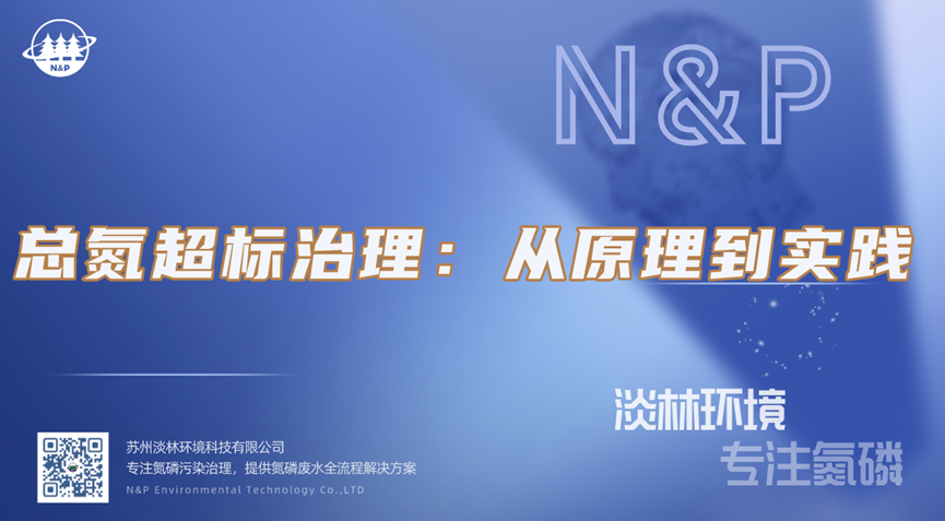 淡林百科｜总氮超标治理：从原理到实践