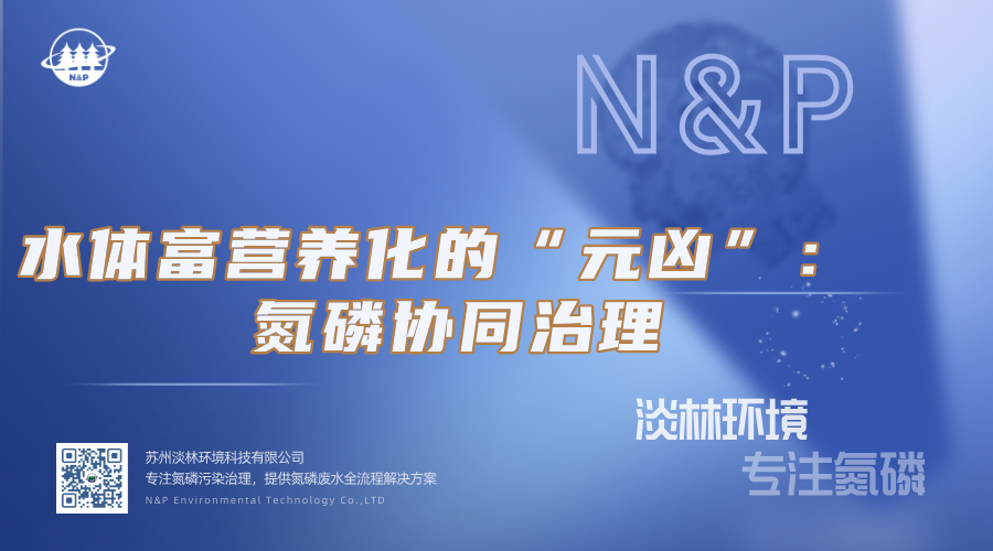 淡林百科｜水体富营养化的“元凶”：氮磷协同治理