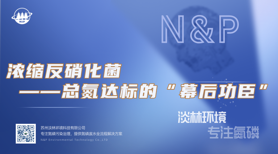 淡林百科｜浓缩反硝化菌——总氮达标的“幕后功臣”