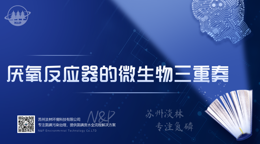 淡林百科｜厌氧反应器的微生物三重奏