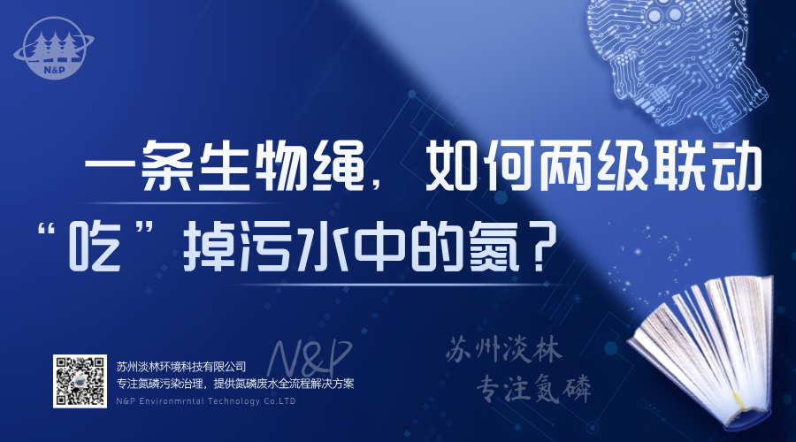 淡林百科｜一条生物绳，如何两级联动“吃”掉污水中的氮？